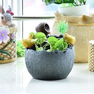 Feng Shui Ornaments Flowing Water Ornaments Flowing Water Fountain Small Ornaments Feng Shui Wheel Flowerpots Hydroponic Creative Office Decoration Crafts Potted Plants Succulent Vases Fortune-gathering Feng Shui Ornaments Flowing Water Ornaments Lucky Fo