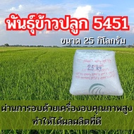 พันธุ์ข้าวปลูก 5451 ข้าวปลูก 5451 เมล็ดพันธุ์ข้าว 5451 พันธุ์ข้าว 5451 ( 25 กิโลกรัม )