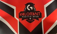 Logitech Valorant Extra Large mouse pad 羅技 特戰英豪 Valorant Pacific Open XL 滑鼠墊