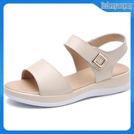 Scholl women shoes Scholl shoes Women Scholl loafers Flat shoes slip on shoes women Scholl shoe kasu
