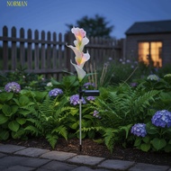 NORMAN 2pcs Solar Garden Light, Colorful LED High-Efficiency Solar Panels LED Garden Light, Automati