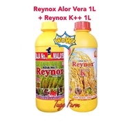 Reynox Original Alor Vera 1L + Reynox K+ 1L / asia no 1 / Vitamin Pokok / Bunga / Buah / Baja Organik / Vitamin Padi