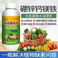 Ready Stock Calcium Magnesium Boron Zinc Iron Leaf Noodle Fertilizer Fast Universal Agricultural Wat