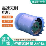 Digital Hair Dryer Motor DC Brushless Motor Bladeless Electric Motor Suitable for High-Speed Curling