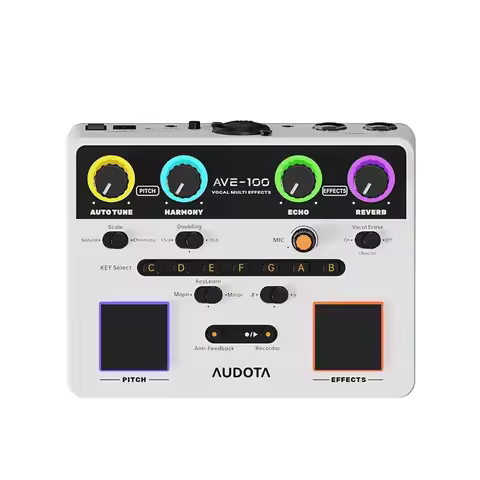 Audota AVE-100 Vocal Multi-Effects Processor,Pitch Correction, Harmony, Reverb and Echo Vocal Pedal