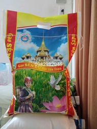 3kg gạo sén cù đặc sản SaPa dẻo thơm ngọt cơm