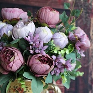 biji bibit benih mawar peony
