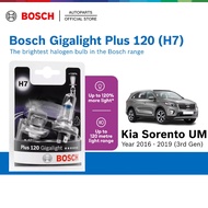 Bosch Plus 120 Gigalight H7 Headlight Bulb for Kia Sorento UM 3rd Gen