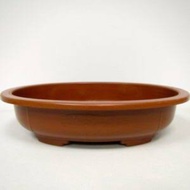 Bonsai oval plastic pots pot shallow wide low 9 inch 9" 22cm bonsai pot