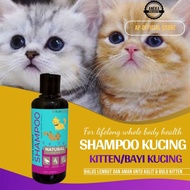 COD Sampo Shampo Sampoo Kucing Kitten Peaknose Angora Himalaya Obat