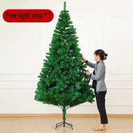 Christmas tree green Christmas tree encrypted PVC green Christmas tree customized Christmas decorati