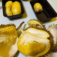 Durian Kupas Montong Medan 500gr Legit Manis Pait