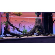 RGB LED Back Light Screen for Aquarium Planted Fish Tank Aquascape, Mobile App Bluetooth Control, ADA Inspired