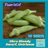 Rare Seed - Okra Blondy, Dwarf, Heirloom