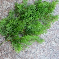 Simulation Dragon Cypress Leaves Pine Cypress Branches Fake Branches Plastic Single Piece Fake Leave
