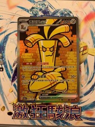 Pokémon card 賽富豪EX SAR 激狂駭浪