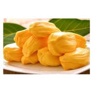 pokok nangka madu j33