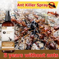 Ant Killer Spray Ubat Semut Titik Semut Racun Ant Repellent Semut Buster Anti Ant Poison