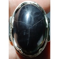 F0sil Moringa agate with starling footprint motif
