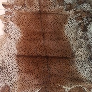 Terpopuler Kulit Kambing Lembaran motif Macan Leopard macan tutul zebra dll