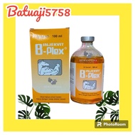 Injekvit B Plex Vitamin B Complex 100Ml