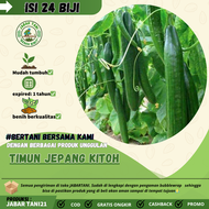 24 BIJI>BENIH BIJI TIMUN JEPANG KITOH MUDAH BERKECAMBAH