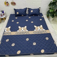 Trọn Bộ Ga + 2 Vỏ Gối Trần Bông Bộ Ga Gối Chun Chần Cotton Poly Dày Dặn Đủ Kích Thước M2/M6/M8/2M2 H
