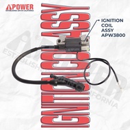 IGNITION COIL ASSY UNTUK APW3800