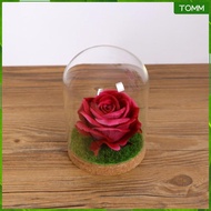 [Wishshopehhh] Cover Cloche Bell Jar with Wedding Parties Decorations Miniatures Craft