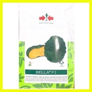 ♞,♘East West Seeds Bella F1 Squash Kalabasa Seeds