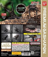 甲蟲 扭蛋 生物大圖鑑 Premium Gashapon 長頸鹿鋸鍬形蟲 巨顎叉角鍬形蟲