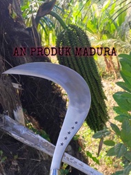 arit rumput ranting madura top super bintang 5 bahan baja per murni