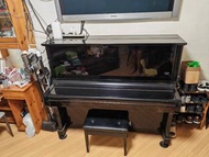 KAWAI BL-61 直立式鋼琴（保養很好）