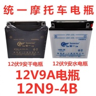 12N9A Tricycle 12V9A12V9A Water Battery Battery Motorcycle Battery Dry Battery Prince Battery Batter