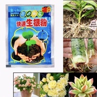 1 Pack Fast Rooting Powder Rapid Growth Root Medicinal Hormone Regulators Garden【Caladium】