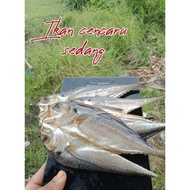 [READY STOCK] IKAN KERING RANGUP KURANG MASIN