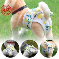 Waterproof Female Dog Shorts And Male Dog Shorts Washable Dog Pants Puppy Diapers Shorts S0a1