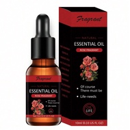 15 Fragrances/10ml/Aromatherapy Essential Oil Hotel Car Aromatherapy Lavender Rose High Concentratio