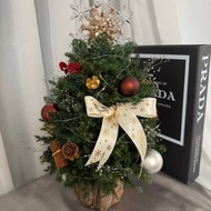 永生聖誕樹 聖誕樹 雪松 閃燈 聖誕禮物