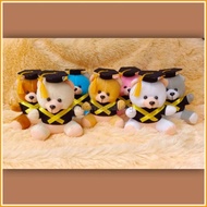 BONEKA WISUDA , BONEKA WISUDA MINI ,BONEKA TOGA MINI ,BONEKA WISUDA