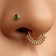1pc 16G Nose Septum Ring, 316L Stainless Steel Nose Hoop, Nose Piercing Set. Women Earrings Availabl