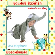 พร้อมส่งจากไทย ชุดแฟนซีสัตว์ เด็ก-ผู้ใหญ่ ขนาด 100-190 cm ชุดนอนเด็ก รอมเปอร์ ชุดเสือ ช้าง กระต่าย ไดโนเสาร์ หมู สิงโต เสื่อดาว