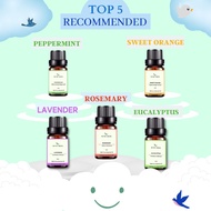 5 ESSENTIAL OIL PACKAGE - ESSENTIAL OIL RECOMMENDATIONS - ESSENTIAL OILPURE - ESSENTIAL OIL - SUNDAR