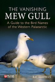 The Vanishing Mew Gull Ray Reedman