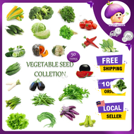 Biji Benih Sayur Buah Vegetable Seed Sayuran Sawi Salad Bayam Kangkung Kuchai Maman Kubis Pokok Bunga Tanah Baja Tray FS