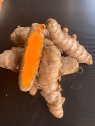 ขมิ้นแดงสยาม แบบหัวสามารถรับประทาน หรือเพาะปลูกได้ กิโลกรัมละ 79 บาท