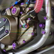 (UNIT) Ninja 150 R SS RR Titanium Compayu Probolt Stainless GR5 Vietnam Heng Thailand Radiator Water