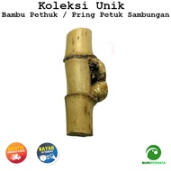 Pring Petuk Bambu Ruas Bertemu