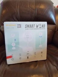 名牌SMARTECH無綫遙控坐地風扇