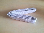 跆拳道色帶 白色 Taekwondo belt